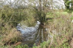 50.-Upstream-from-Blatchbridge