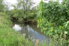 10.-Upstream-from-Creedy-Bridge