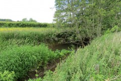 11.-Downstream-from-Creedy-Bridge