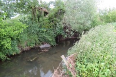 12.-Downstream-from-Creedy-Bridge