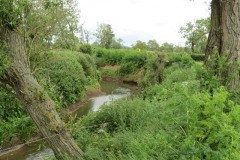 7.-Downstream-from-Byme-Bridge-2