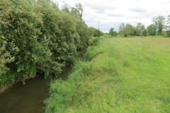 8.-Upstream-from-Creedy-Bridge-1
