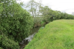 8.-Upstream-from-Creedy-Bridge-4