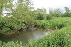 8.-Upstream-from-Creedy-Bridge-6