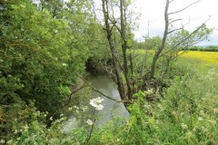 8.-Upstream-from-Creedy-Bridge-7