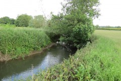 9.-Upstream-from-Creedy-Bridge