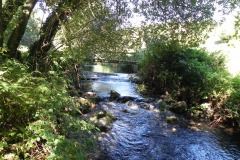 1.-Mill-Lane-Fish-Farm-footbridge