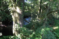 11.-Downstream-from-Gardeners-Bridge