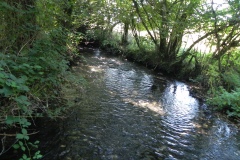 12.-Downstream-from-Gardeners-Bridge