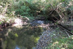 14.-Downstream-from-Gardeners-Bridge