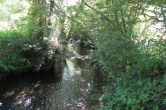 15.-Downstream-from-Gardeners-Bridge