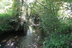 15.-Downstream-from-Gardeners-Bridge