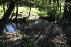 17.-Downstream-from-Gardeners-Bridge