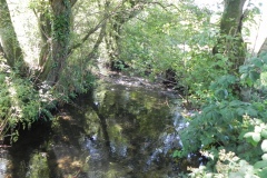 18.-Downstream-from-Gardeners-Bridge