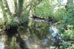 19.-Downstream-from-Gardeners-Bridge