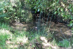 20.-Downstream-from-Gardeners-Bridge