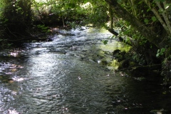 21.-Downstream-from-Gardeners-Bridge