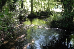 22.-Downstream-from-Gardeners-Bridge