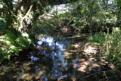 23.-Downstream-from-Gardeners-Bridge