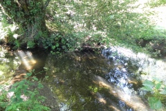 23a.-Downstream-from-Gardeners-Bridge