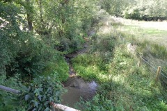 25.-Looking-downstream-from-Perry-Copse-Tributary-Stream-Bridge
