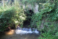 26.-Perry-Copse-Tributary-Stream-Bridge-downstream-arch