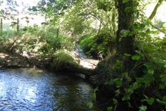 27.-Perry-Copse-Tributary-Stream-joins-river-Tone