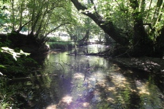 28.-Downstream-from-Perry-Copse-Tributary-Stream-join