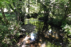 29.-Downstream-from-Perry-Copse-Tributary-Stream-join
