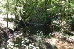 30.-Downstream-from-Perry-Copse-Tributary-Stream-join