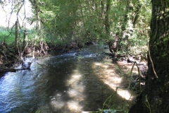 31.-Upstream-from-Huish-Bridge