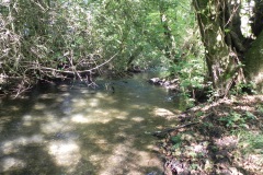 32.-Upstream-from-Huish-Bridge