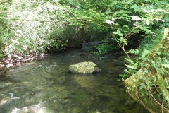34.-Upstream-from-Huish-Bridge