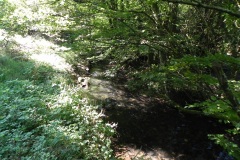 35.-Upstream-from-Huish-Bridge