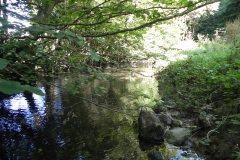 36.-Upstream-from-Huish-Bridge