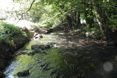 37.-Upstream-from-Huish-Bridge