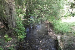 38.-Looking-Upstream-from-Huish-Bridge