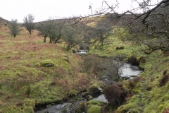 2. Downstream from Colley Water
