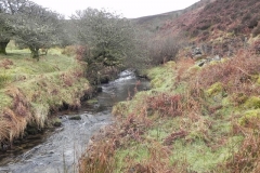 25. Flowing below Mill Hill