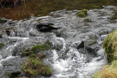 27. Flowing below Mill Hill