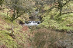 3. Downstream from Colley Water