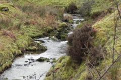 4. Downstream from Colley Water