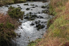 49. Flowing towards Robbers Bridge