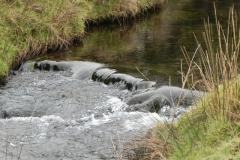 53. Flowing towards Robbers Bridge