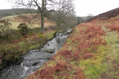 57. Flowing towards Robbers Bridge