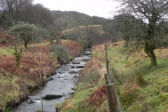 60. Flowing towards Robbers Bridge