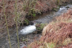 61. Flowing towards Robbers Bridge