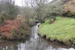 65. Looking upstream from Robbers Bridge