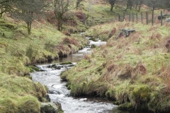 9. Downstream from Colley Water