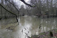 63.-Dodham-Brook-joins-from-the-right